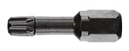 Impact bits T15 x 40 mm